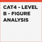 CAT4 Level B Figure Analysis exercises