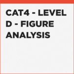 Figure Analysis exercises for CAT4 Level D