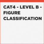 CAT4 Level B Figure Classification exercises
