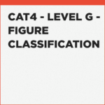 Figure Classification past questions for CAT Level G