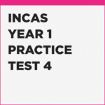 best online assessment for INCAS