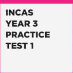 INCAS Year 3 online mock with answers