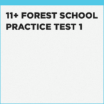 best practice for the Forest School 11+ online test