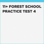 Forest School London 11+ level practice tests for the online exam